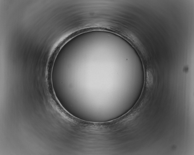 X0000116840780200912181456