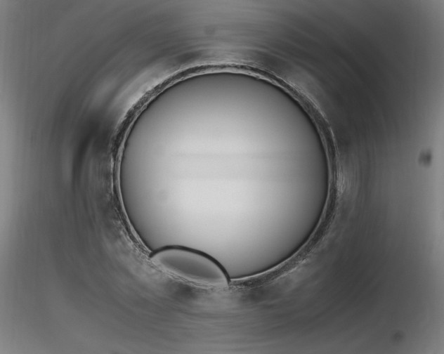 X0000116840781200912181456