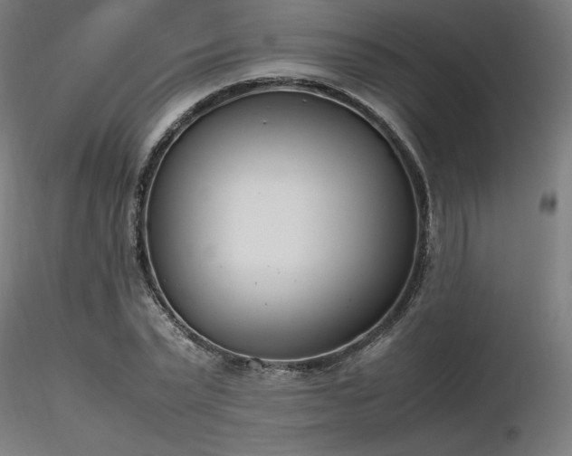 X0000116840783200912181456