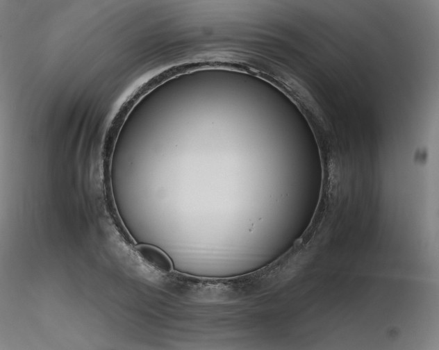X0000116840784200912181456