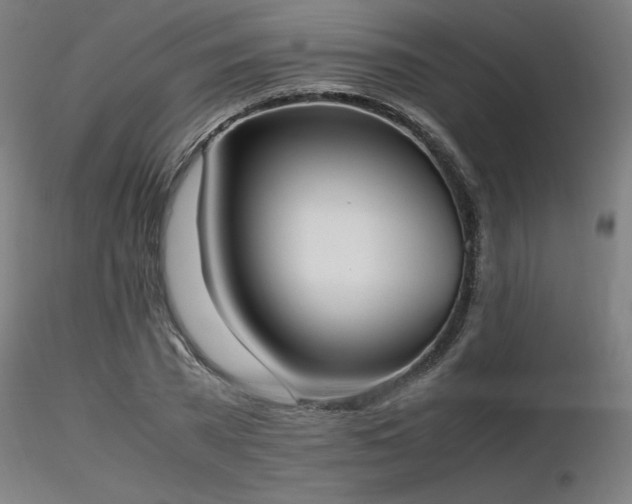 X0000116840785200912181456