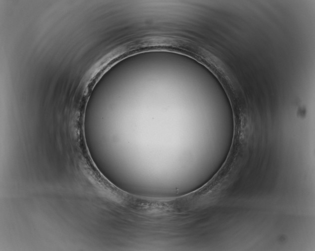 X0000116840786200912181456