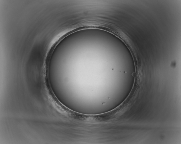 X0000116840787200912181456