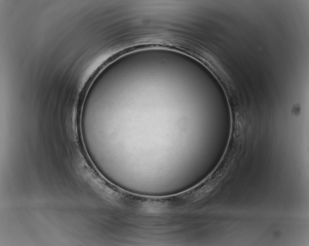 X0000116840788200912181456
