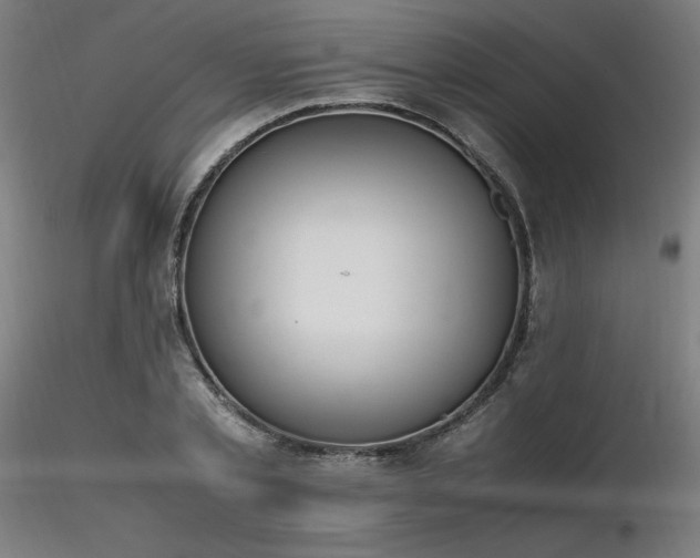 X0000116840789200912181456