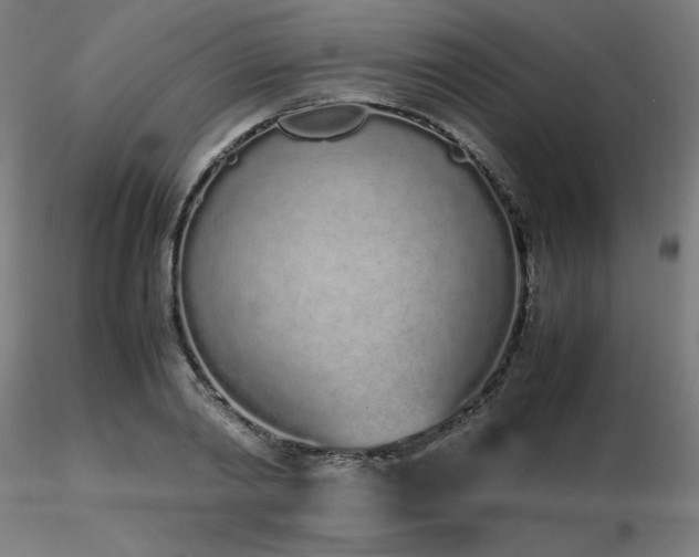 X0000116840790200912181456