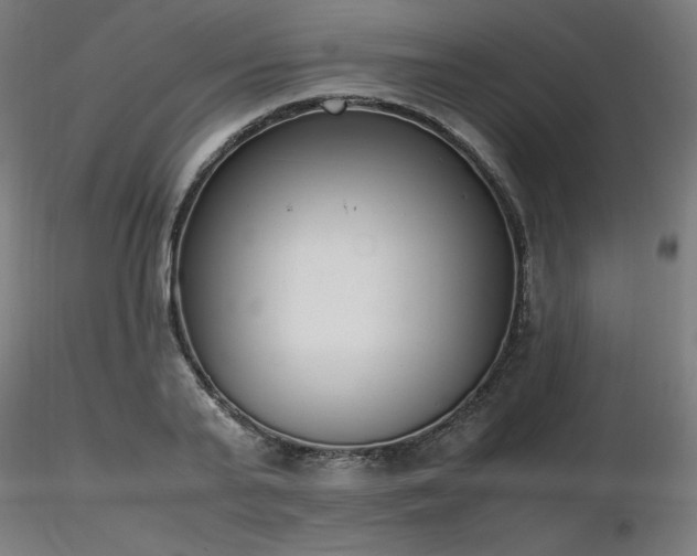 X0000116840791200912181456