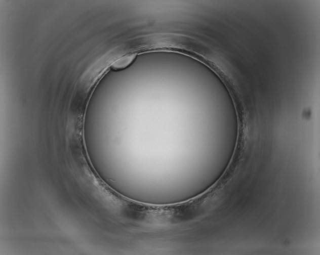 X0000116840793200912181456