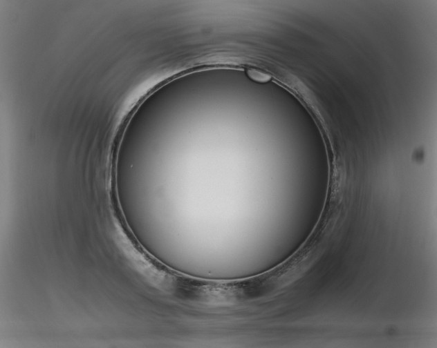 X0000116840795200912181456