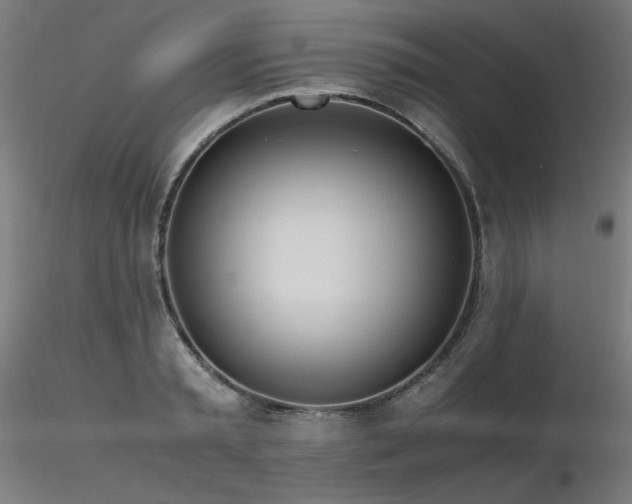 X0000116840797200912181456