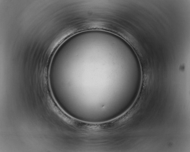 X0000116840798200912181456