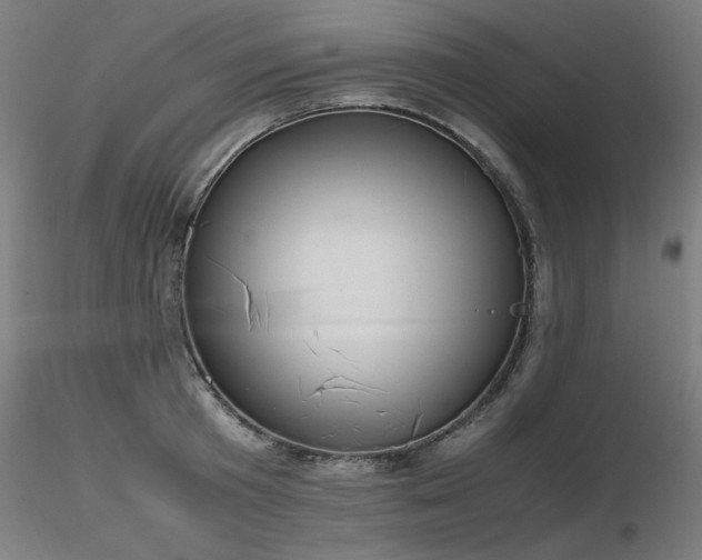 X0000116840801200912181456