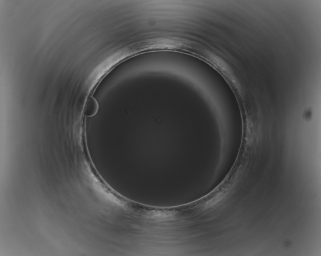 X0000116840802200912181456