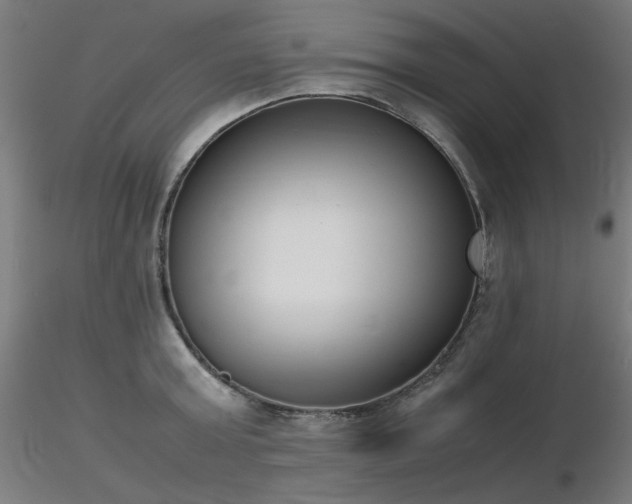 X0000116840803200912181456