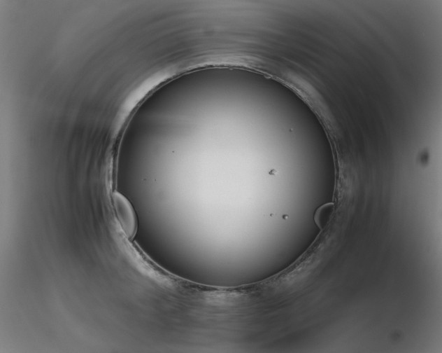 X0000116840804200912181456
