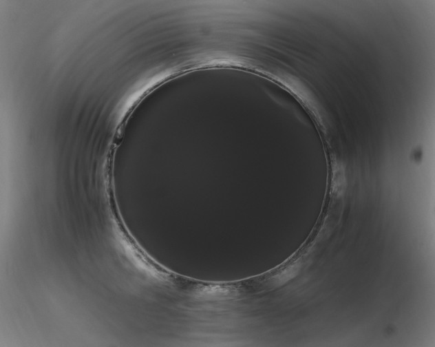 X0000116840806200912181456