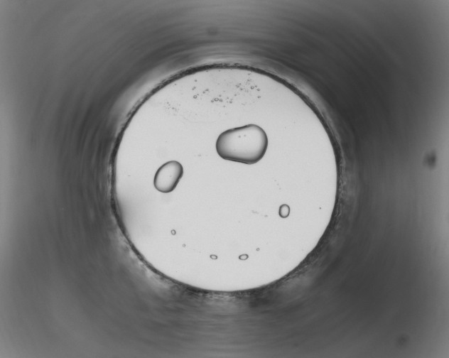 X0000116840807200912181456