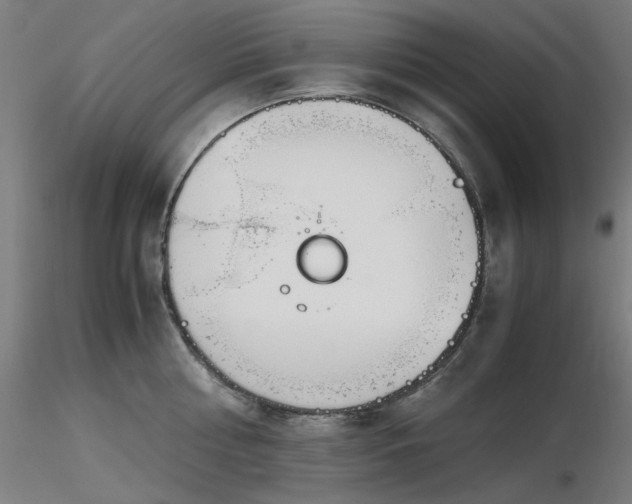X0000116840810200912181456