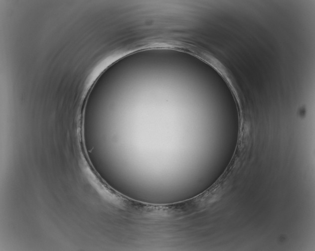 X0000116840811200912181456