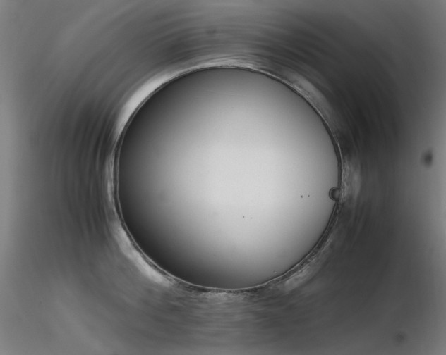 X0000116840812200912181456