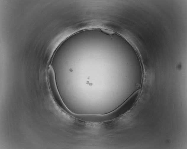 X0000116840813200912181456