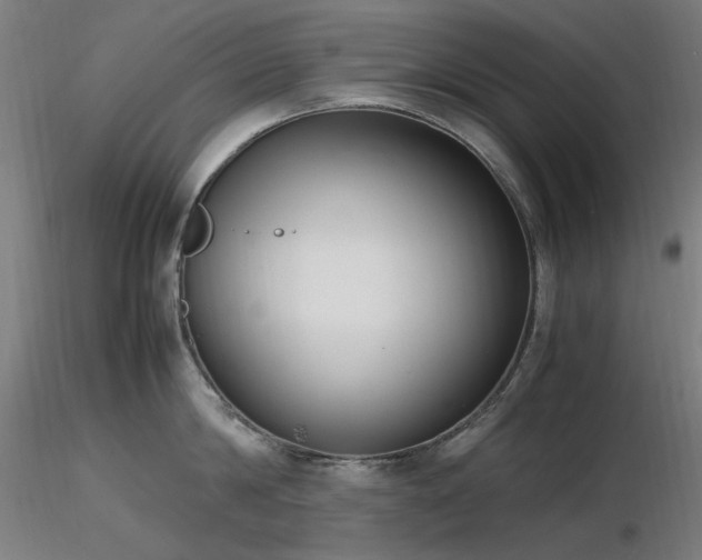 X0000116840814200912181456