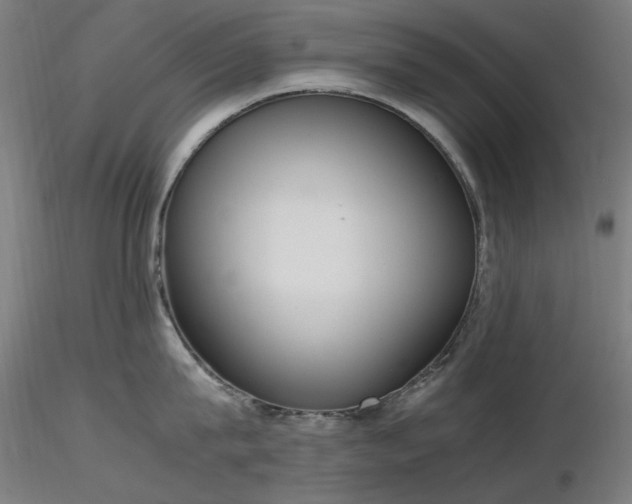 X0000116840815200912181456