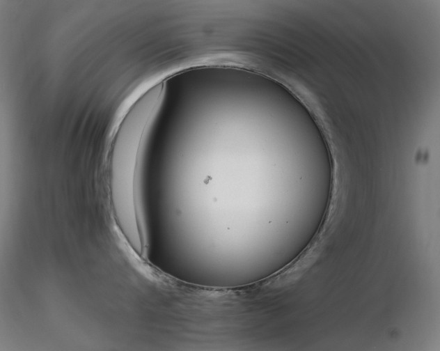X0000116840816200912181456