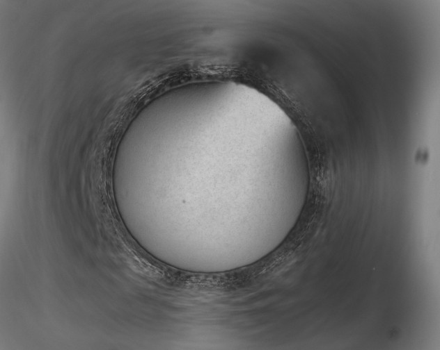 X0000116840817200912181455