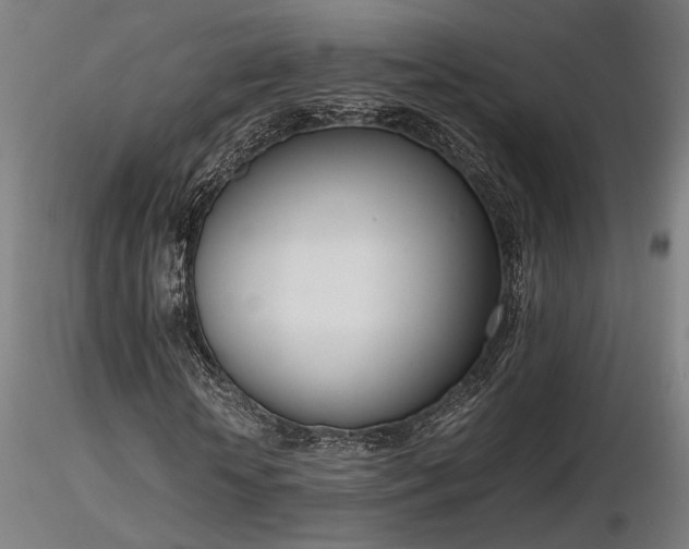 X0000116840818200912181455