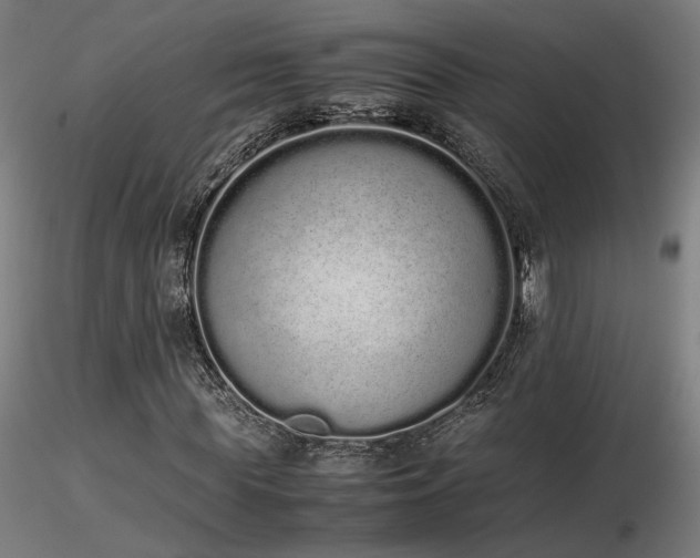 X0000116840819200912181455