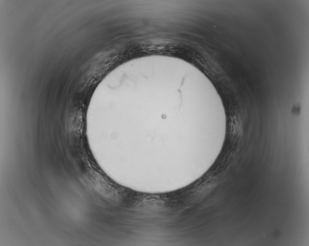 X0000116840820200912181455