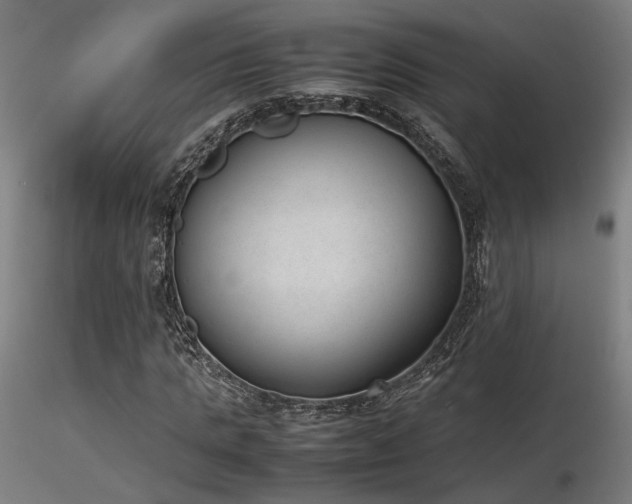 X0000116840821200912181455