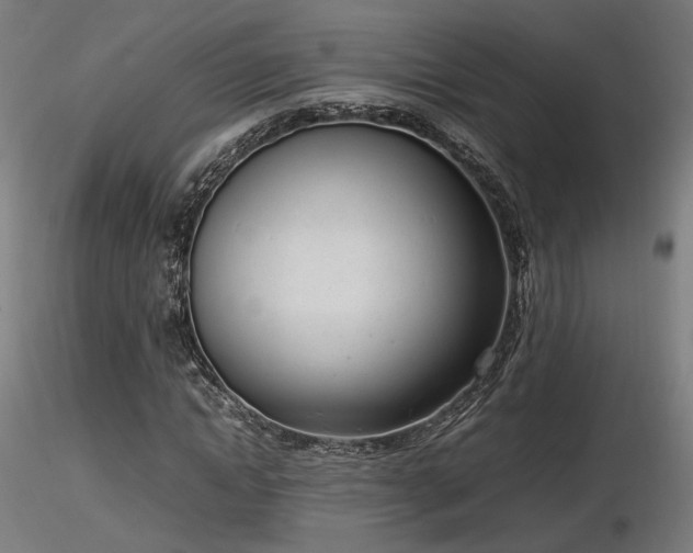 X0000116840822200912181455