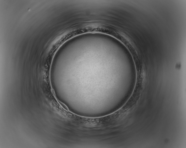 X0000116840823200912181455