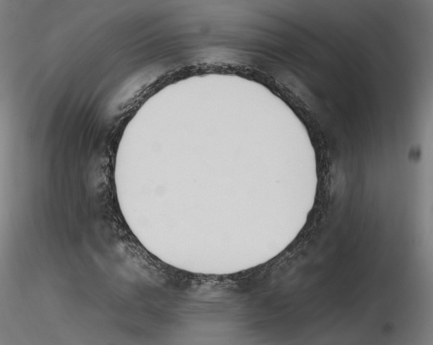 X0000116840824200912181455
