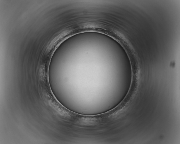 X0000116840825200912181455
