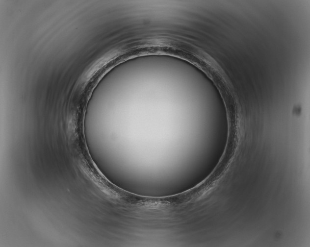 X0000116840826200912181455