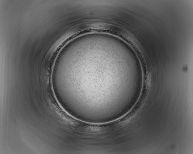 X0000116840829200912181455