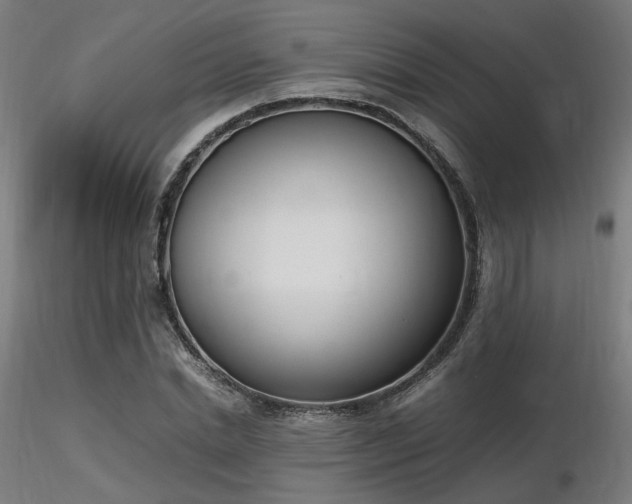 X0000116840830200912181455