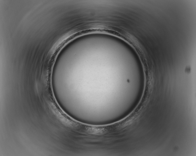 X0000116840831200912181455