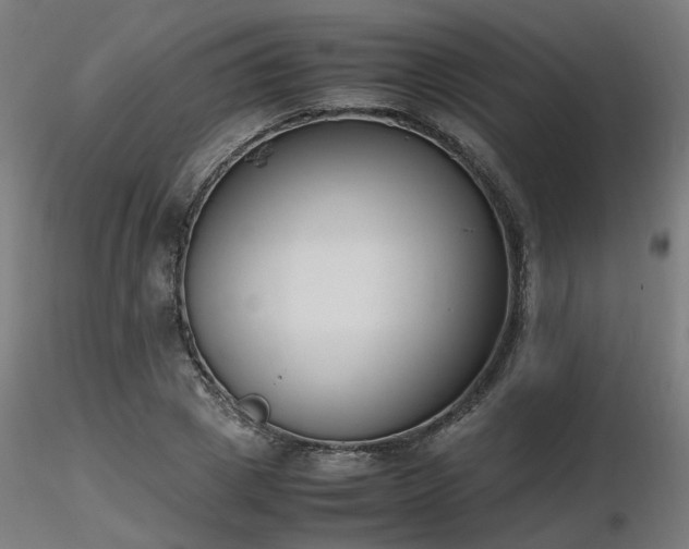 X0000116840833200912181455