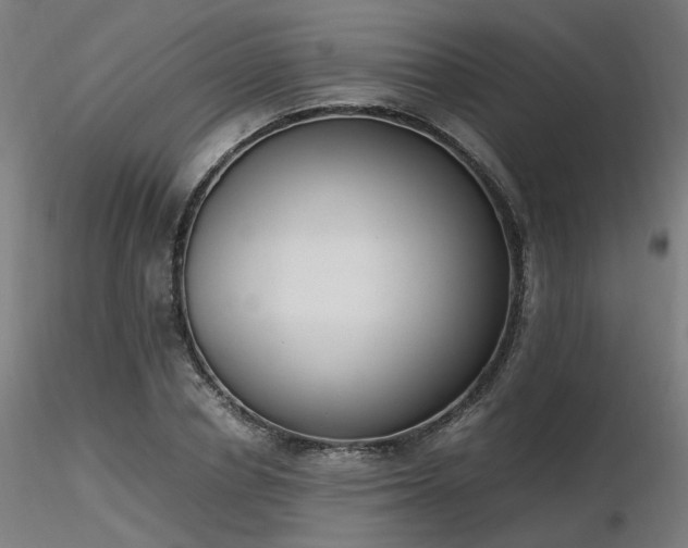X0000116840834200912181455