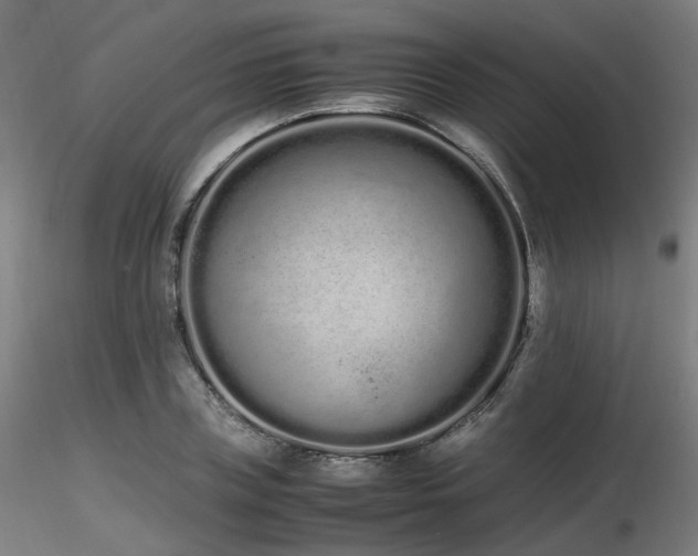 X0000116840835200912181455