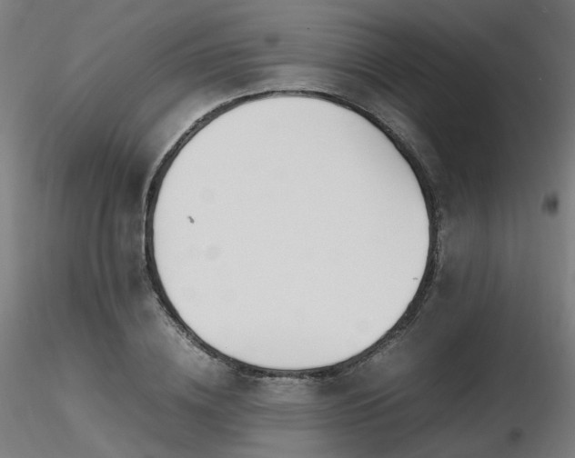 X0000116840836200912181455