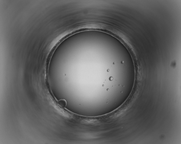 X0000116840837200912181455
