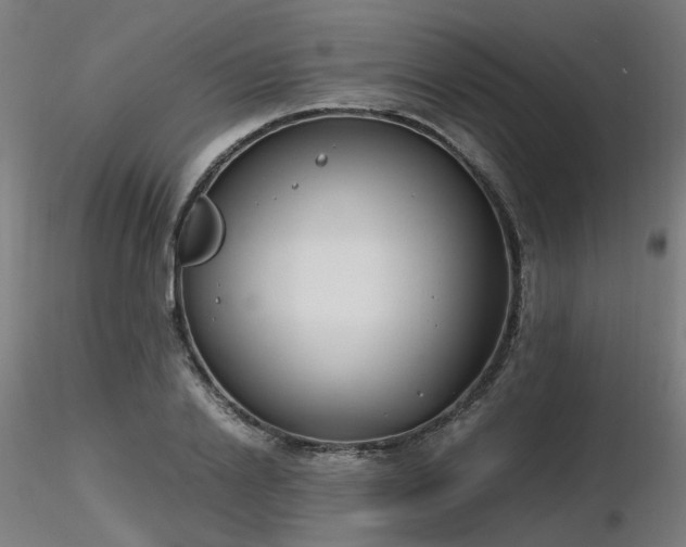 X0000116840838200912181455