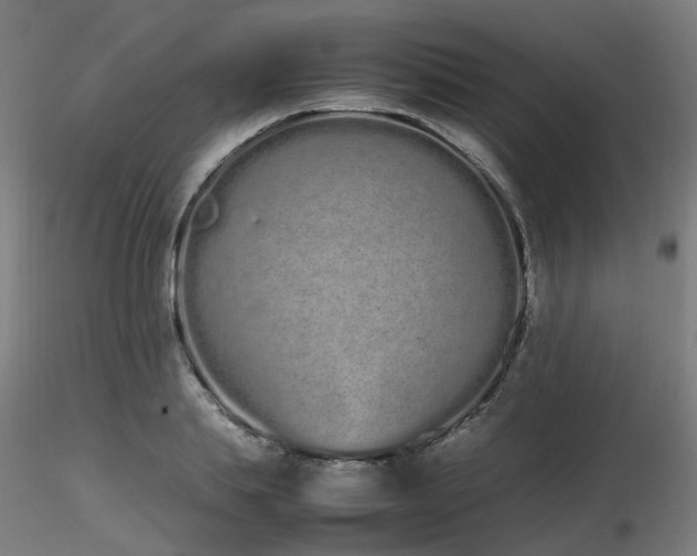 X0000116840839200912181455
