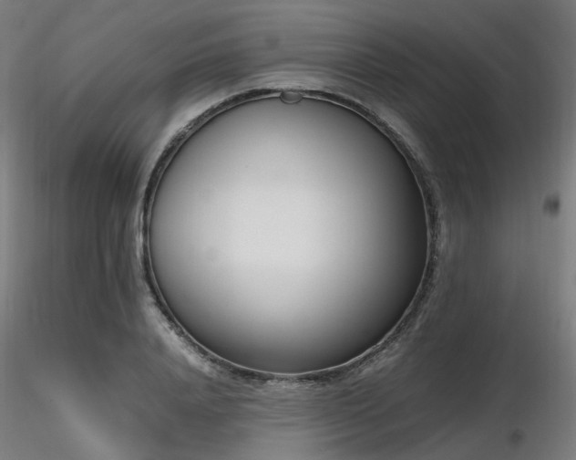 X0000116840840200912181455