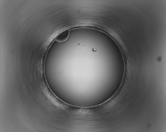 X0000116840842200912181455